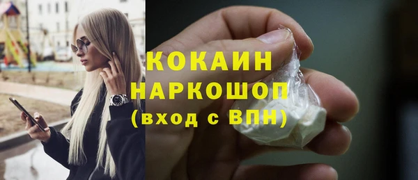 прущие грибы Аркадак