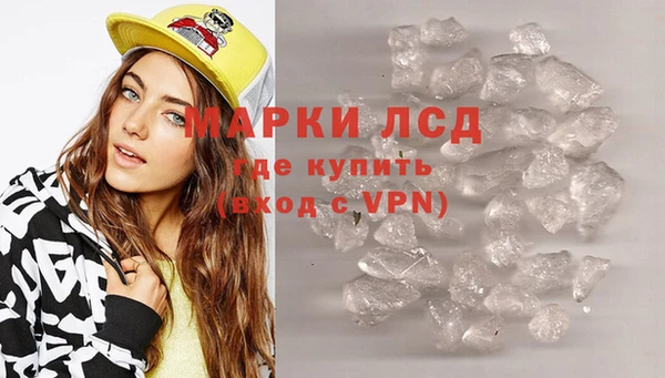 прущие грибы Аркадак
