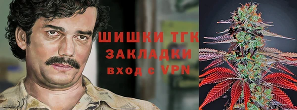 прущие грибы Аркадак
