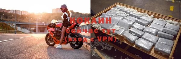 прущие грибы Аркадак